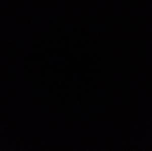 Meet your Posher, Desiree